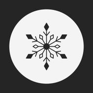 snowflake icon N13