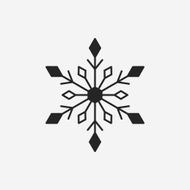 snowflake icon N14