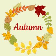 Autumn fallen colorful leaves frame