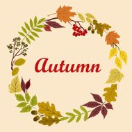 Autumnal wreath with acorns leaves and viburnum