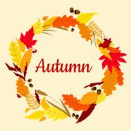Autumn frame with acorns viburnum and spikelets