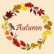 Autumnal yellow red orange and green leaves
