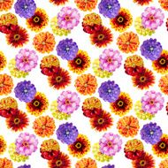 Watercolor zinnia pattern N2