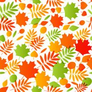 Seamless pattern with autumn leaves N28