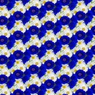 Seamless pattern with flowers camomile cornflowers