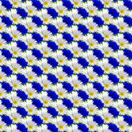 Seamless pattern with flowers camomile cornflowers N2