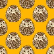 Sketch cute hedgehog in vintage style