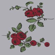 Drawing pattern flower rose