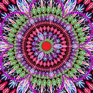 Mandala Pattern N29