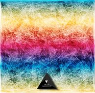 Abstract polygonal background N79