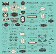 Set of calligraphic elements for design N17