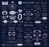 Set of calligraphic elements for design N21