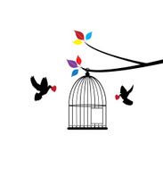 Bird Cage N13
