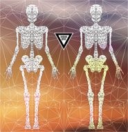 Abstract polygonal skeleton N8