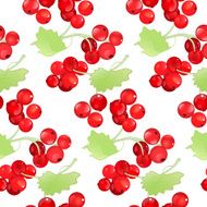 Red currant seamless pattern