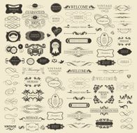 Set of calligraphic elements for design N34