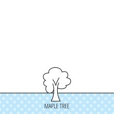 Maple tree icon Forest wood sign N8