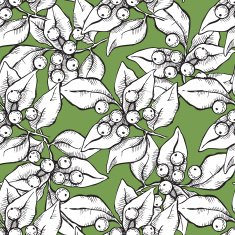 Vector seamless hand draw pattern with ink mistletoe illustation
