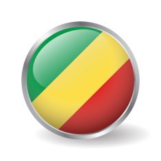 Republic of the Congo flag button vector N2