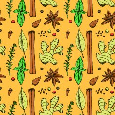 Sketch spices and herbs in vintage style N2