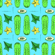 Sketch cucumbers in vintage style