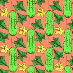 Sketch cucumbers in vintage style N2