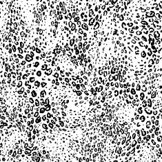 Leopard seamless N2