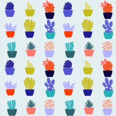 Flat pattern of cactus house plants in pots N2