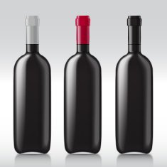 Set realistic glass bottles for wine N2