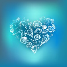 Heart of Sea shells N2