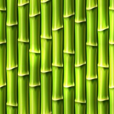 Seamless Bamboo Background Vector illustration eps10