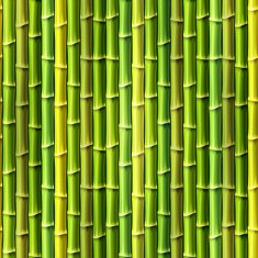 Seamless Bamboo Background Vector illustration eps10 N2
