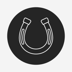 saddle line icon N2
