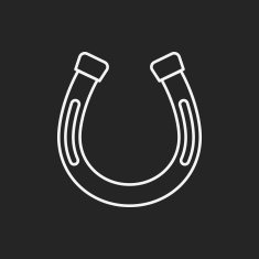 saddle line icon N3