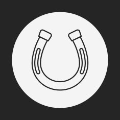 saddle line icon N4