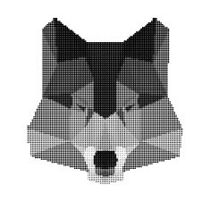abstract monochrome wolf portrait isolated on white background