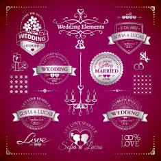 Big set of classic wedding vintage badges