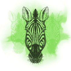 Vector illustration with zebra head