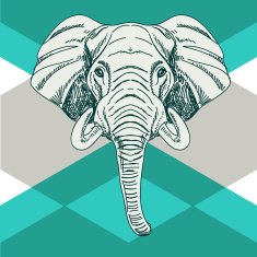 Vector hand drawn illustration with elephant head N3