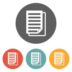 Document Icon N80