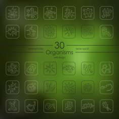 Set of organisms icons N5