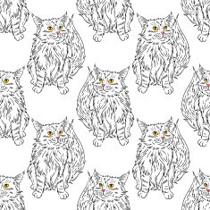 Maine coon pattern N8