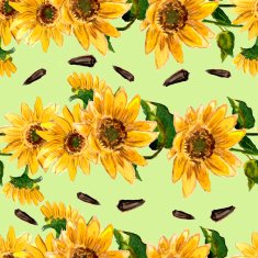 The pattern of blooming yellow flowers sunflower painted in watercolor N11