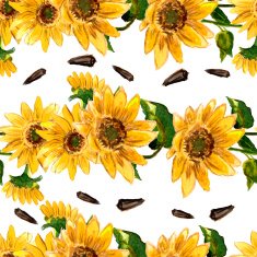 The pattern of blooming yellow flowers sunflower painted in watercolor N12