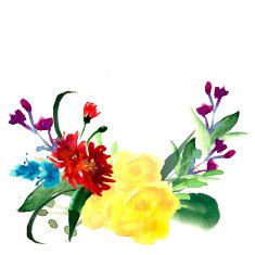 Wildflowers blooming delicate flowers background painted watercolors N22