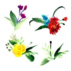 Wildflowers blooming delicate flowers background painted watercolors N23