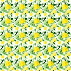 Wildflowers blooming delicate flowers background painted watercolors N28