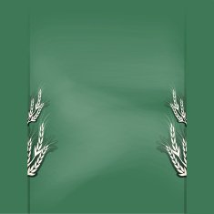 chalkboard design vector illustration background N2