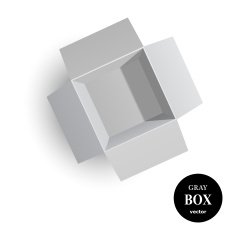 Opened Gray cardboard box isolated on white background Vector