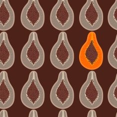 Beautiful seamless pattern with papaya in vector Cute backgroun N2